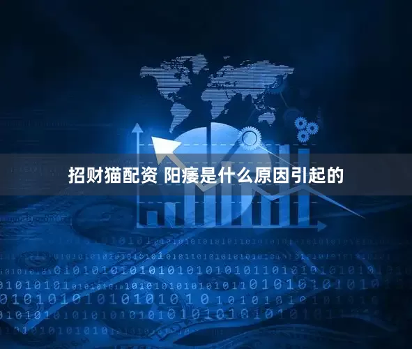 招财猫配资 阳痿是什么原因引起的